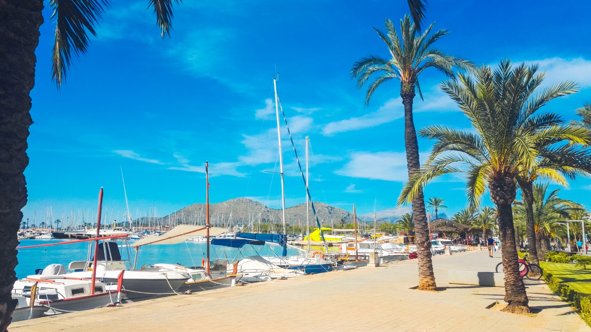 yachthafen alcudia mallorca